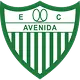 EC Avenida